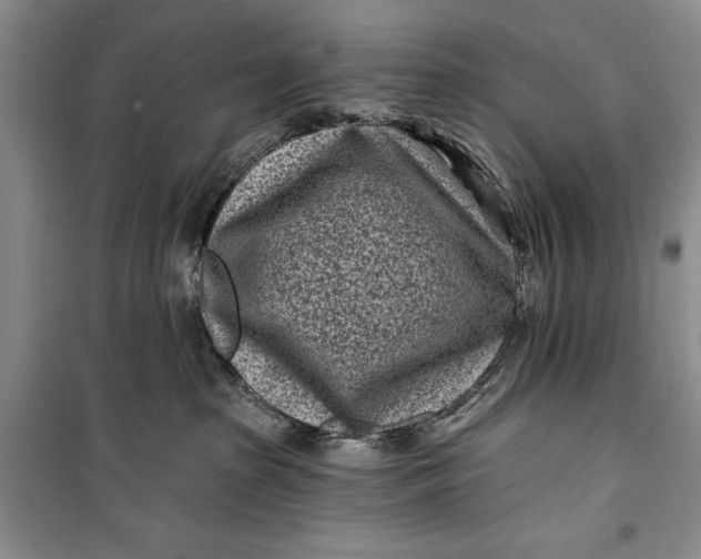 X0000100210285200806131259