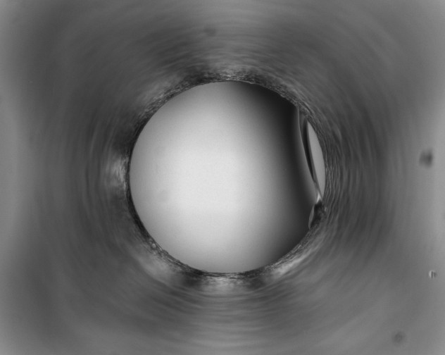 X0000100210286200806131259