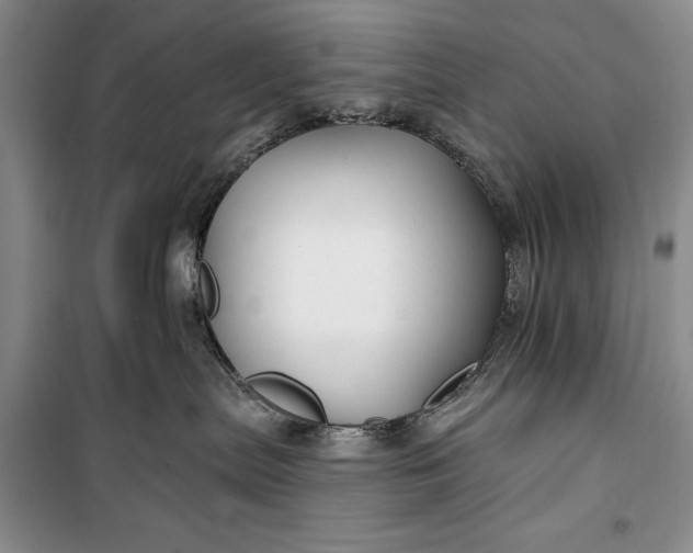 X0000100210287200806131259