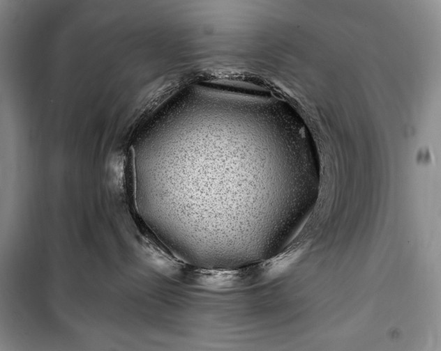 X0000100210288200806131259