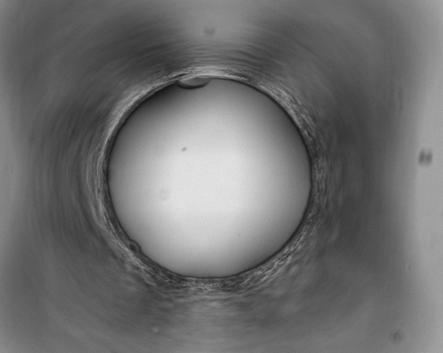 X0000100210289200806131258