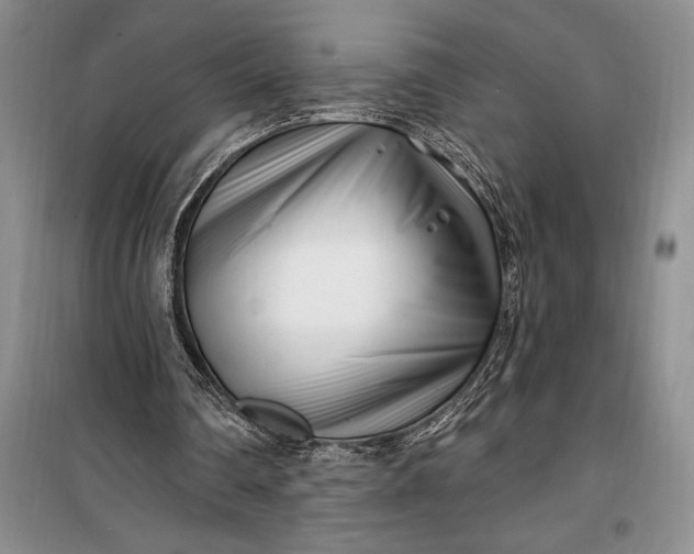 X0000100210290200806131258