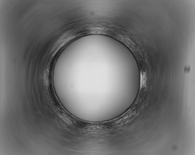 X0000100210291200806131258