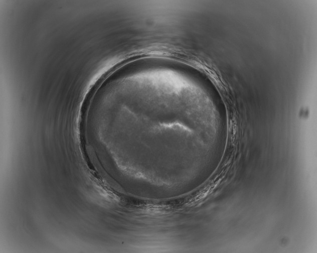 X0000100210292200806131258