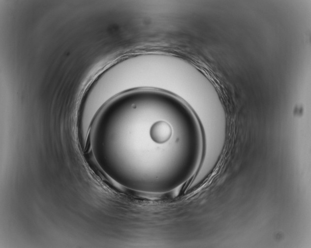 X0000100210293200806131258