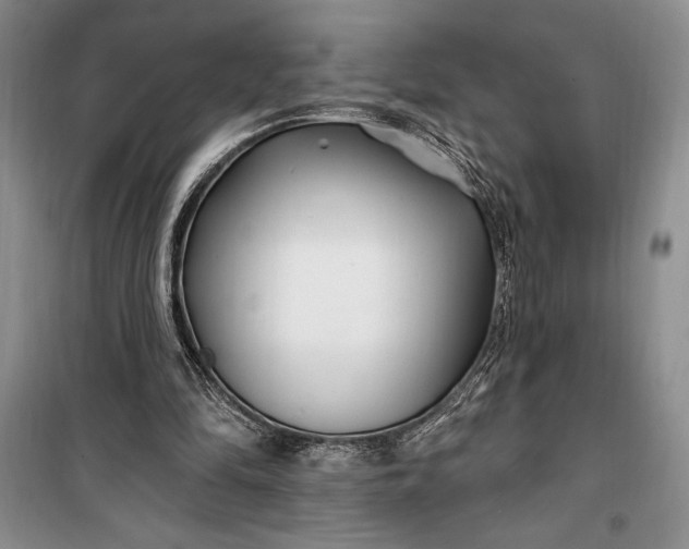 X0000100210294200806131258