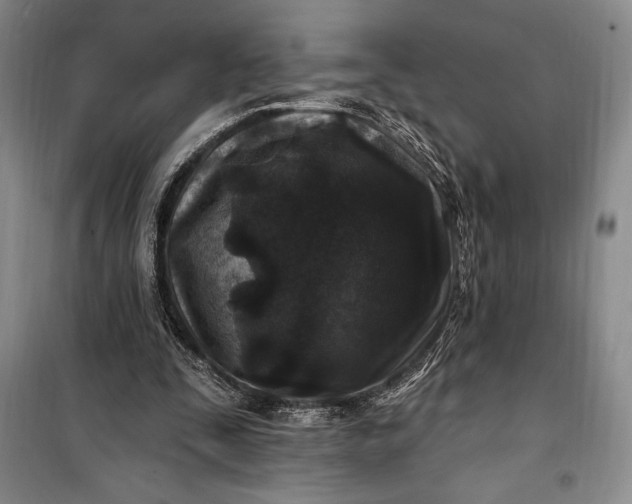 X0000100210295200806131258