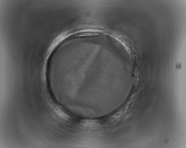 X0000100210296200806131258