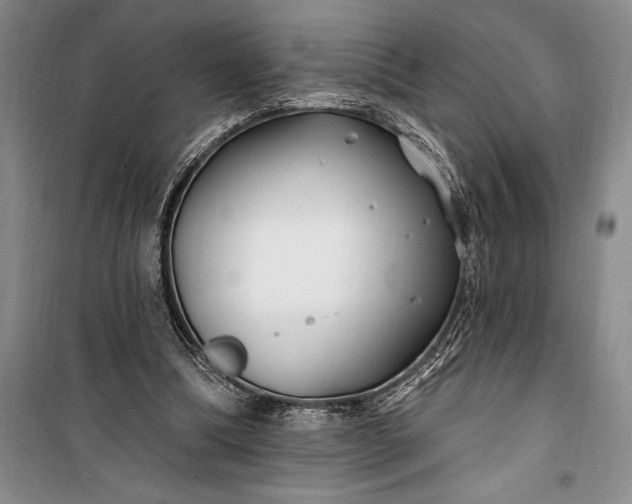 X0000100210298200806131258