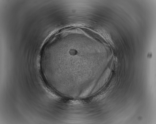 X0000100210300200806131258