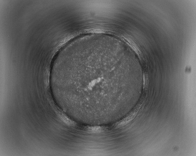 X0000100210301200806131258