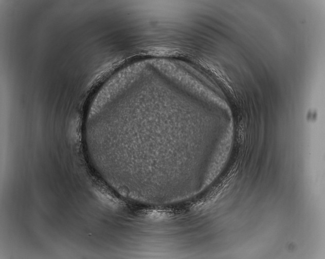 X0000100210303200806131258