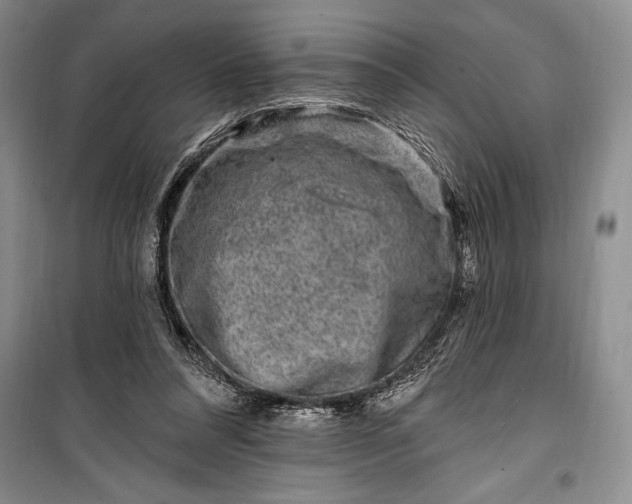 X0000100210304200806131258