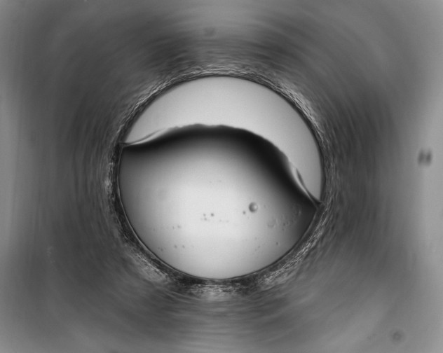 X0000100210305200806131258