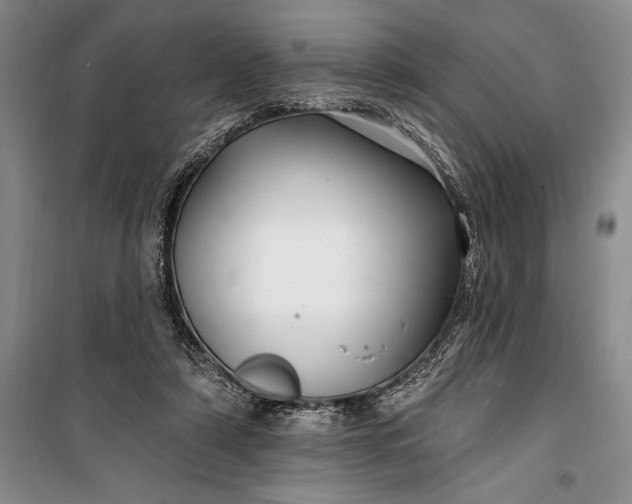 X0000100210306200806131258