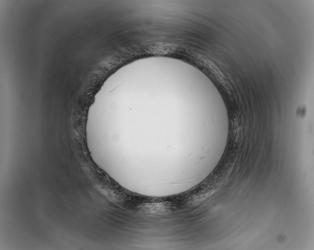 X0000100210307200806131258