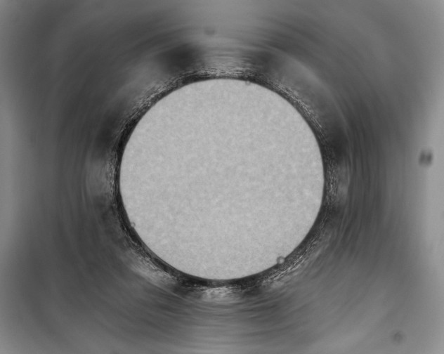 X0000100210309200806131258