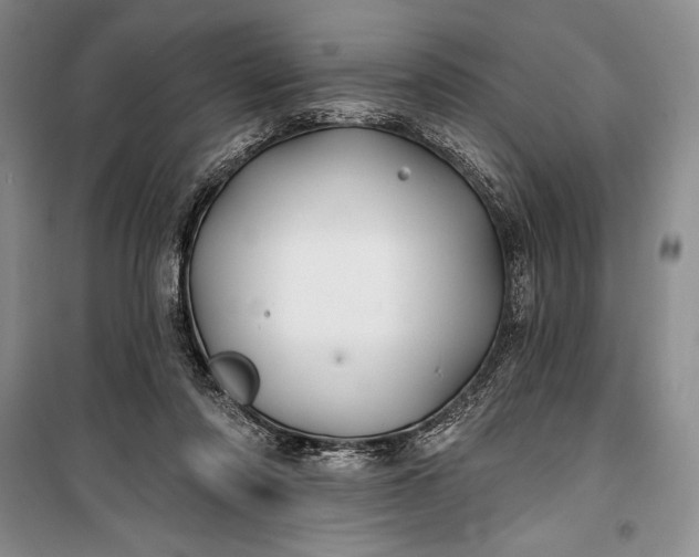 X0000100210310200806131258