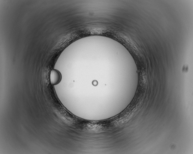 X0000100210311200806131258