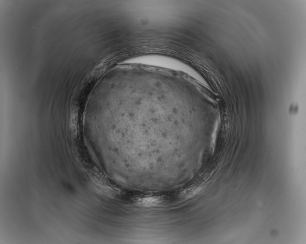 X0000100210312200806131258