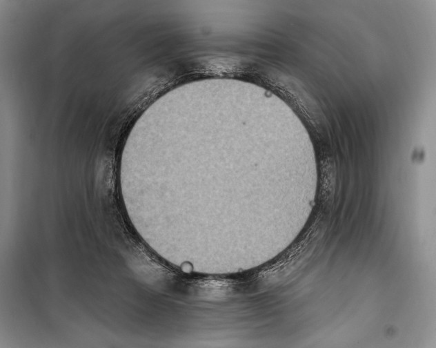 X0000100210313200806131258