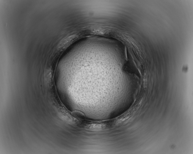 X0000100210314200806131258