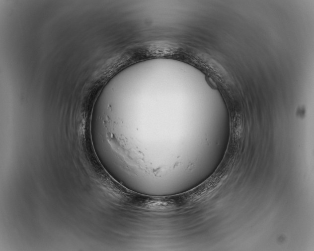 X0000100210315200806131258