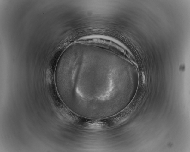 X0000100210316200806131258