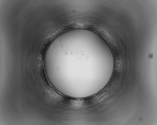 X0000100210318200806131258