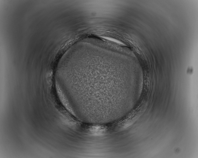 X0000100210319200806131258