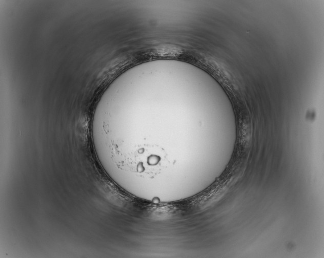 X0000100210321200806131258