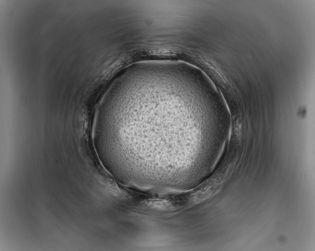 X0000100210322200806131258