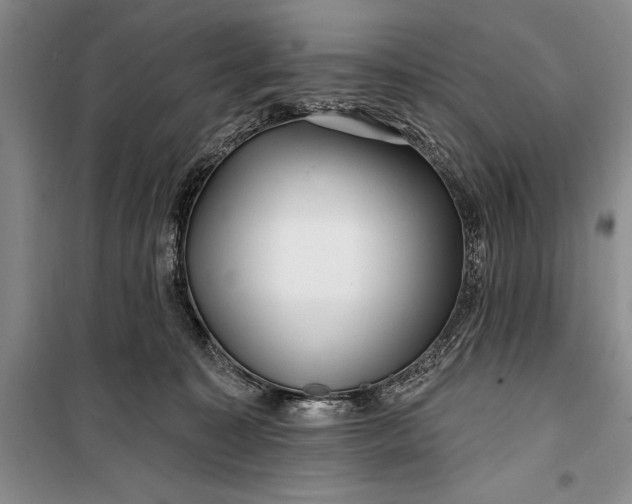 X0000100210323200806131258