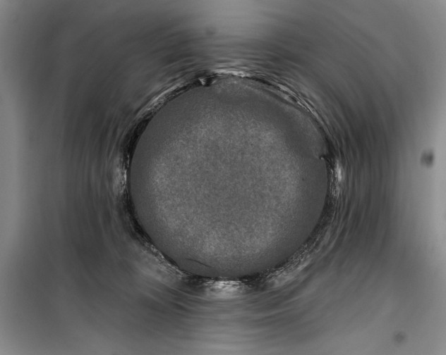 X0000100210324200806131258