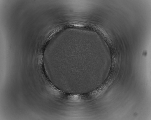 X0000100210325200806131258