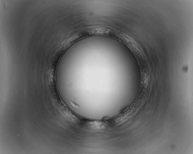 X0000100210326200806131258