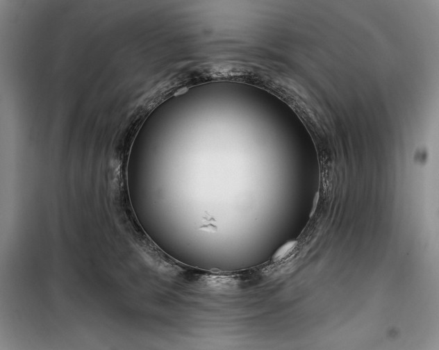 X0000100210327200806131258