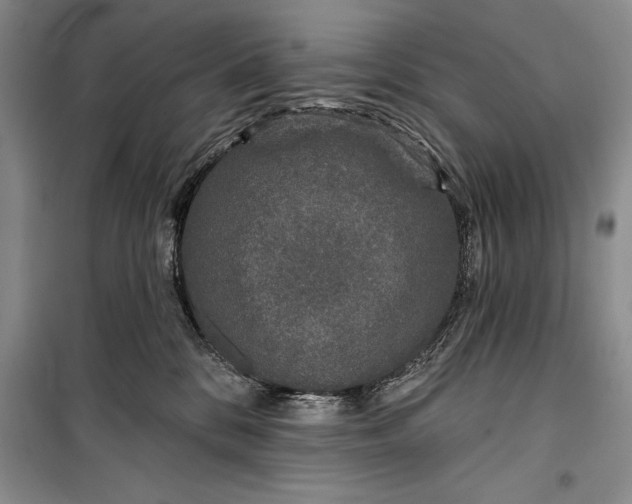 X0000100210328200806131258