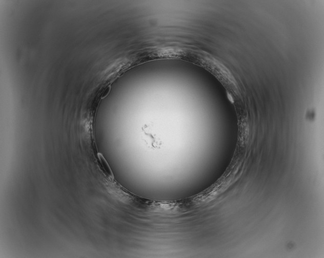 X0000100210329200806131257