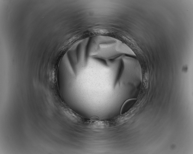 X0000100210330200806131257