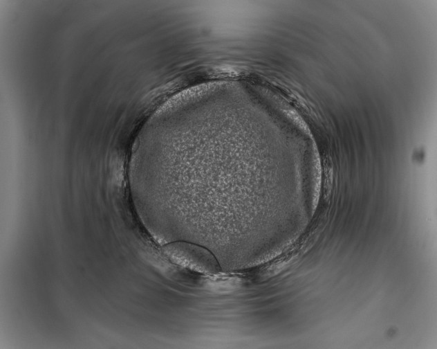 X0000100210331200806131257