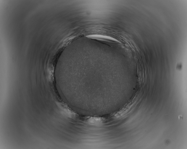 X0000100210332200806131257