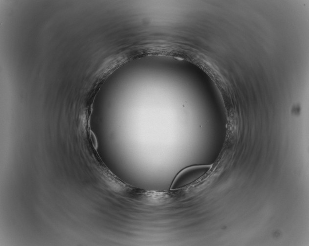 X0000100210333200806131257