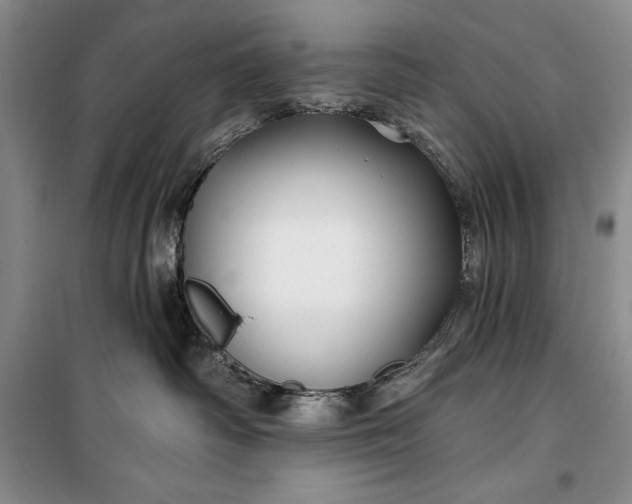 X0000100210334200806131257