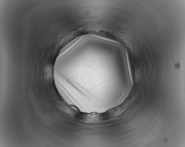 X0000100210335200806131257