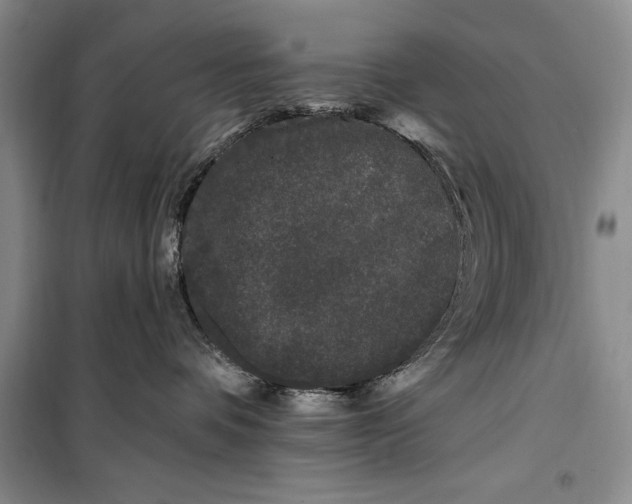 X0000100210336200806131257