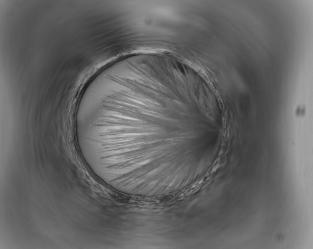 X0000100210337200806131257