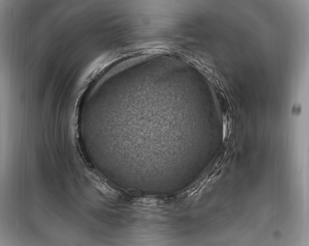 X0000100210339200806131257