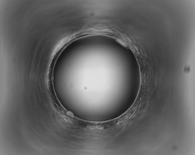 X0000100210340200806131257