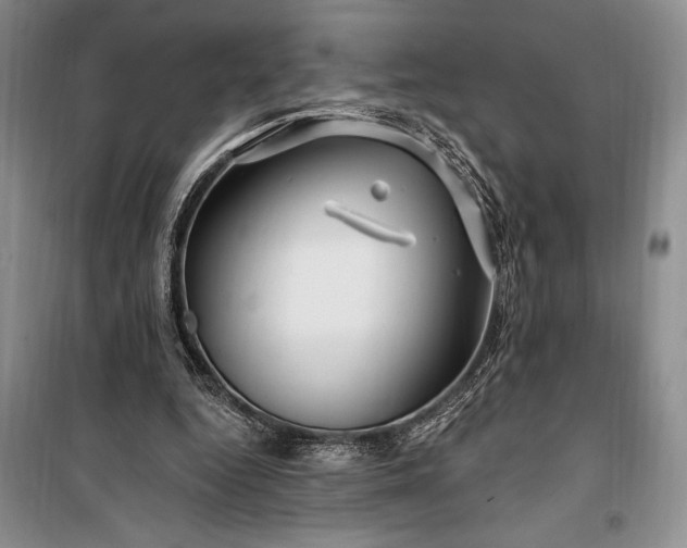 X0000100210344200806131257